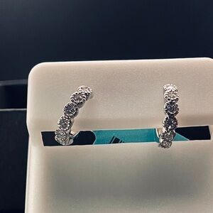 Elegant Silver Hoop Earrings
